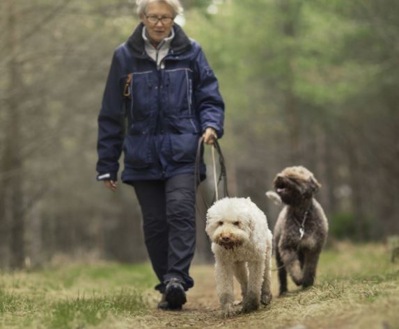 Dame van middelbare leeftijd op stap in het bos, samen met twee honden aan de leiband.